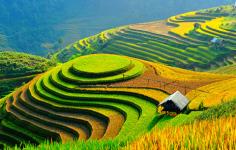 Các Loại Hình Công Ty Có Thể Đăng Ký