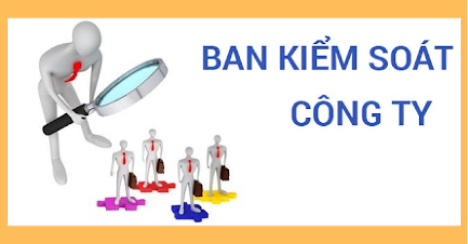 Cá Nhân Có Thể Đồng Thời Là Trưởng Ban Kiểm Soát Của 04 Dnnn