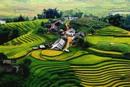 Giấy Phép Nhà Thầu Nước Ngoài