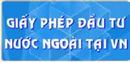Dịch Vụ Tư Vấn Thành Lập Công Ty 100 Vốn Nước Ngoài