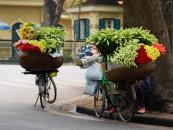 Giá Đăng Ký Mã Vạch Ở Hà Nội