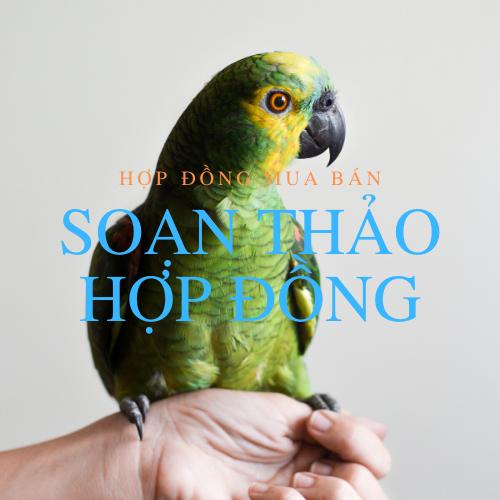 Soạn Thảo Hợp Đồng Mua Bán - Lời Khuyên Từ Luật Sư