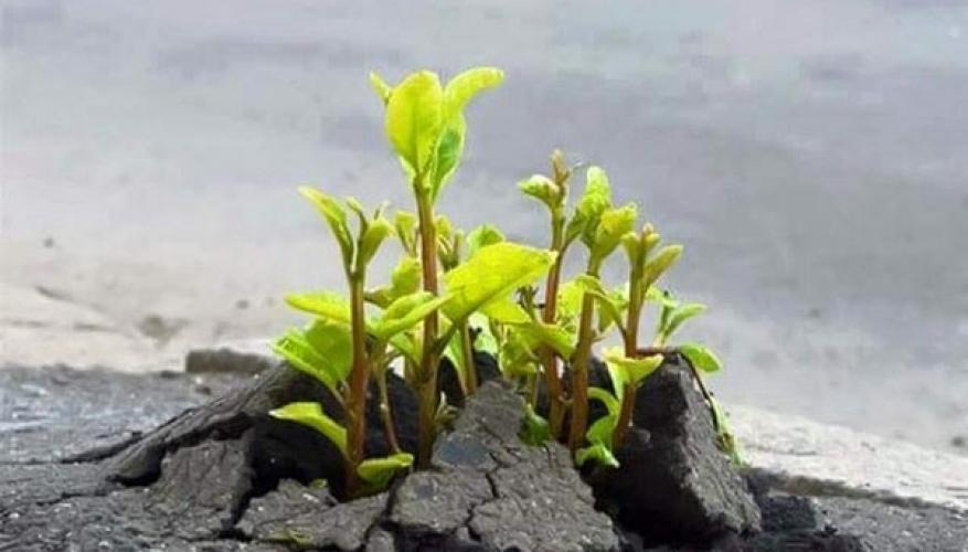 Dịch Thuật Tài Liệu Pháp Lý