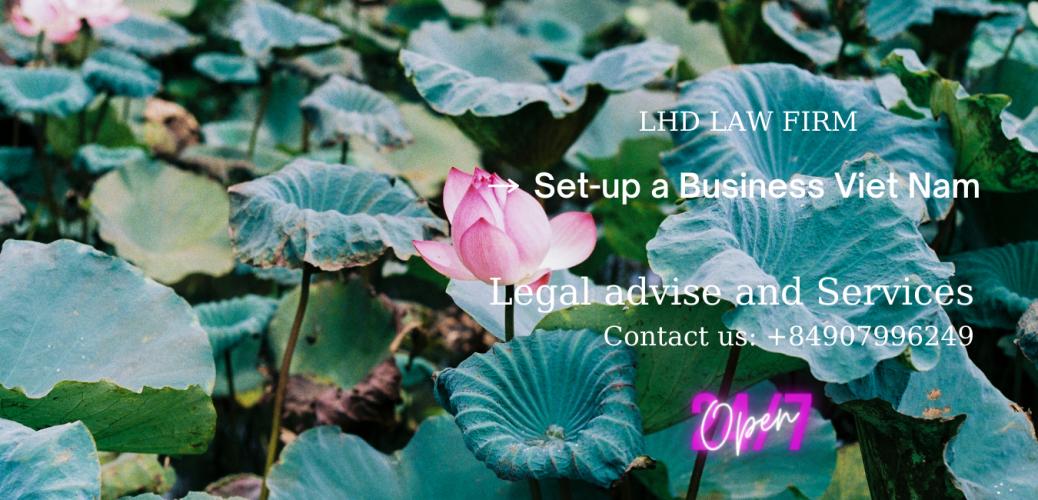 Thành Lập Doanh Nghiệp Có Vốn Đầu Tư Nước Ngoài