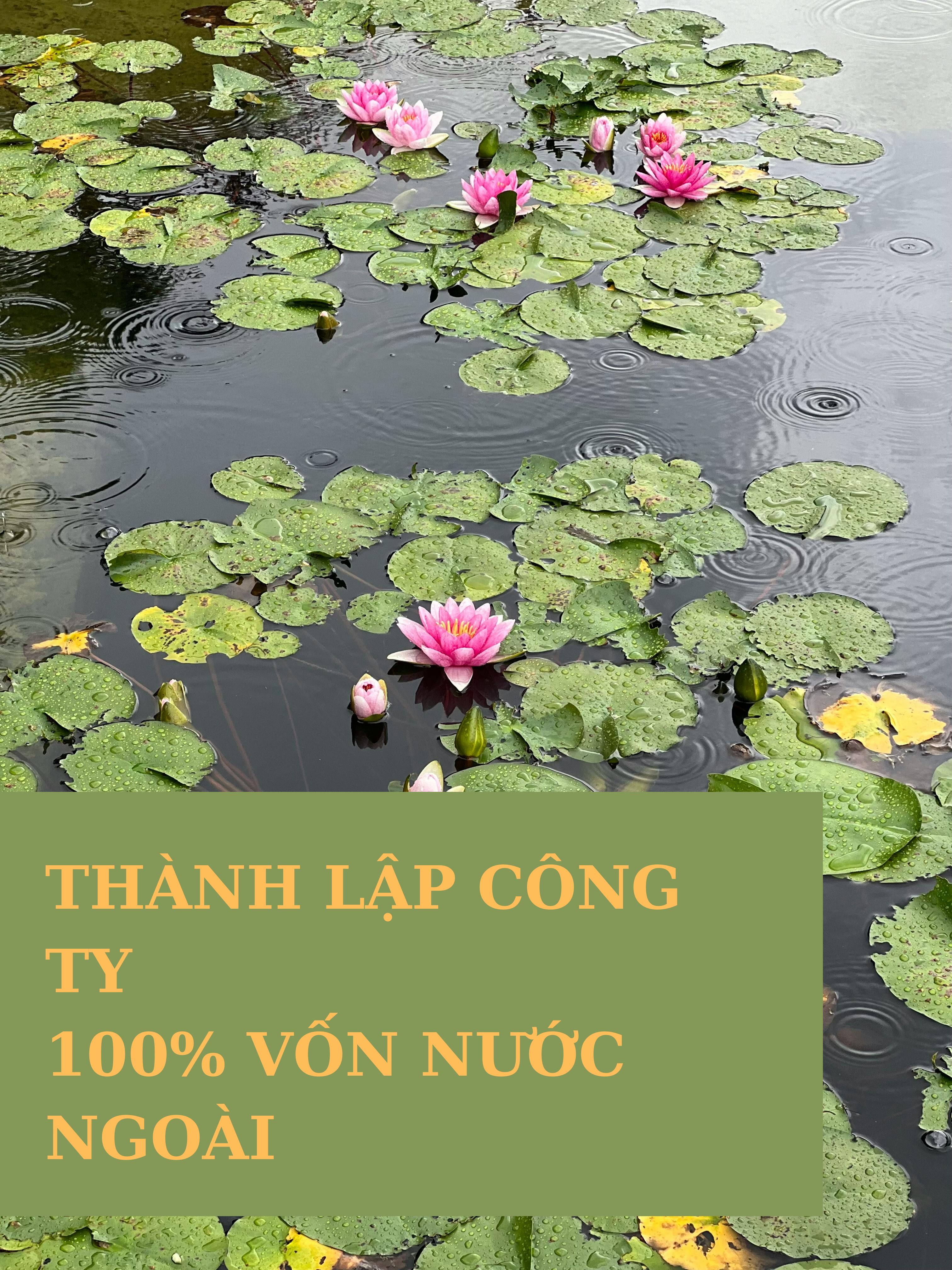 Thành lập công ty có vốn đầu tư nước ngoài